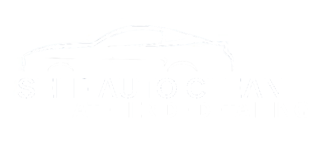 Logo Self Clean Auto